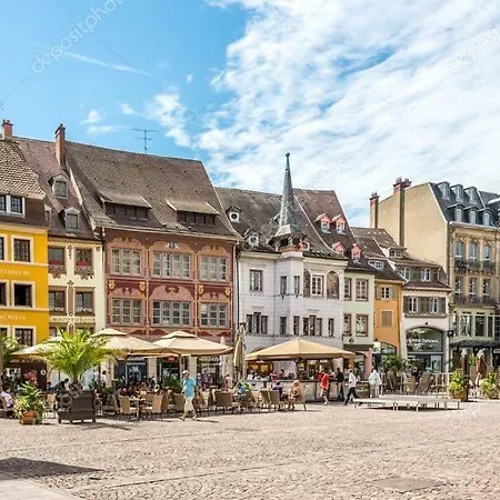 アパート Le Bas Rebberg - Face Gare ミュルーズ